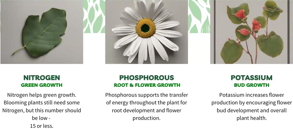 Nitrogen Phosphorus and Potassium are all important for blooming flowers.