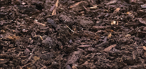 Buy Mulch