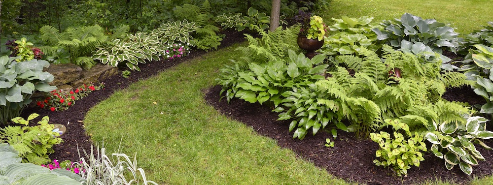 Shade Gardening